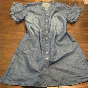 G Kale Blue Denim Chambray Button-Up Dress petite medium